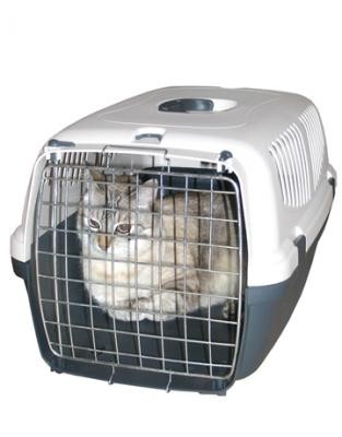 chat-cage-transport