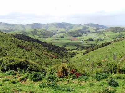 Paysages verts de Papouasie Nouvelle-Guinée