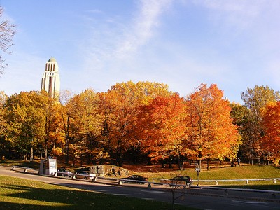 Les tons rouges orangés de l'automne à Montréal