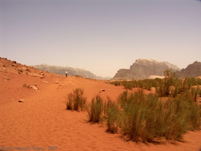 Wadi Rum en Jordanie