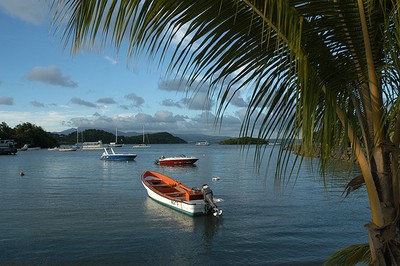 Que faire en Martinique ?