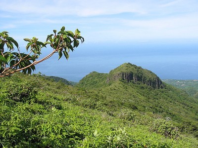 Quoi voir en Martinique ?