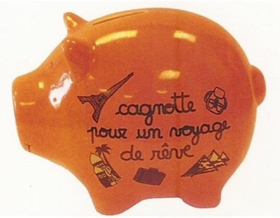 Cagnotte pour un voyage de rêve