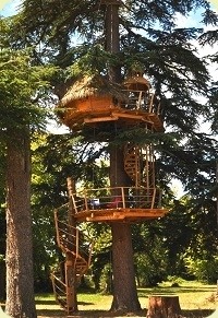 cabane dans un arbre