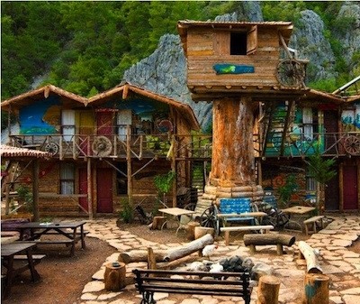 camp kadir's tree houses