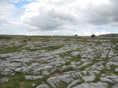 the burren