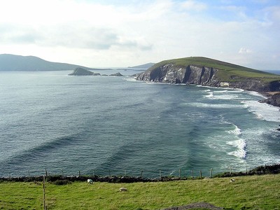 dingle