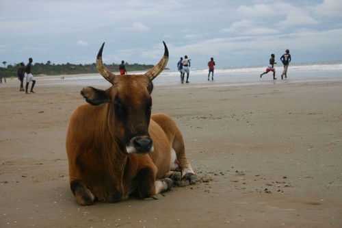 senegal beach