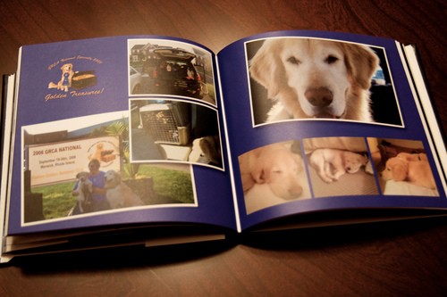 Livre photo