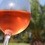 Les vins