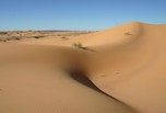Sahara