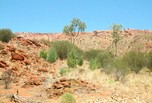 Alice Springs
