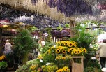 Marché aux fleurs