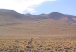 Desert de Antacama