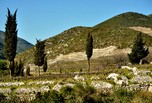 Paysage croate