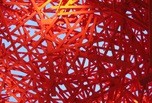 Dedale Rouge