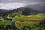 Hanalei