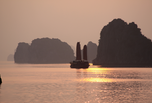 Jonque Halong