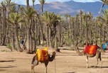 Maroc