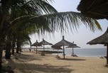 Saly