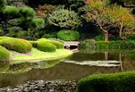 tokyo garden
