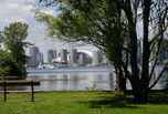 Vue depuis Ward's Island