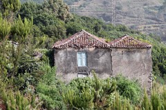 Vieille maison à Barlovento