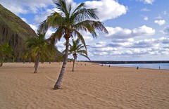 Plage Las Teresitas, Tenerife