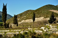 Paysage croate