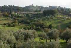 Campagne