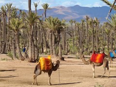 Maroc
