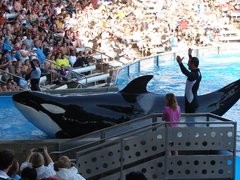 Sea World