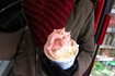 Visiter Gelateria Lo Squero