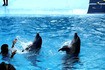Visiter Manati Park