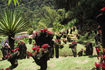 Visiter Jardin de Balata