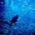 Photos Dubai Aquarium and Underwater Zoo