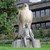 Photos Fondation Calouste Gulbenkian