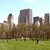 Photos Central Park