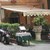Photos Ristorante Cleto