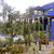 Photos Jardin Majorelle
