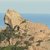 Photos Le lion de Roccapina