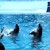 Photos Manati Park