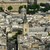 Photos Saint-Germain-des-Prés