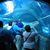 Photos Sea Life London Aquarium