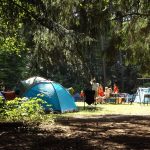 Le camping, de plus en plus plébiscité