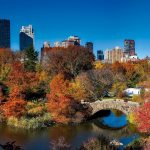 Les 10 choses incontournables à faire à New York